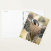 2024 Peregrine Falcon Planer (Anzeige)