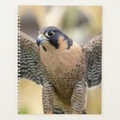 2024 Peregrine Falcon Planer (Vorderseite)