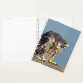 2024 Peregrine Falcon Planer (Anzeige)