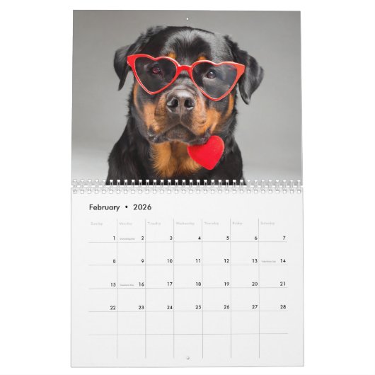 2024 Personalisiert 12 Monate Hunde mit Brille Kalender (Feb 2026)