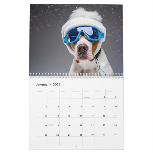 2024 Personalisiert 12 Monate Hunde mit Brille Kalender (Jan 2026)
