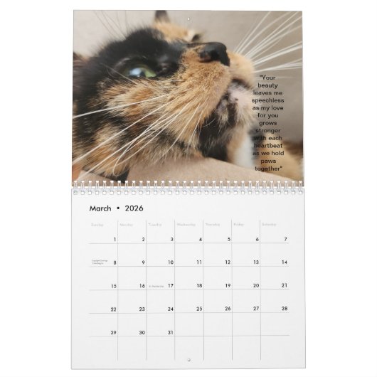 2024 Petals and Feather and Friends Calendar Kalender (Mär 2026)