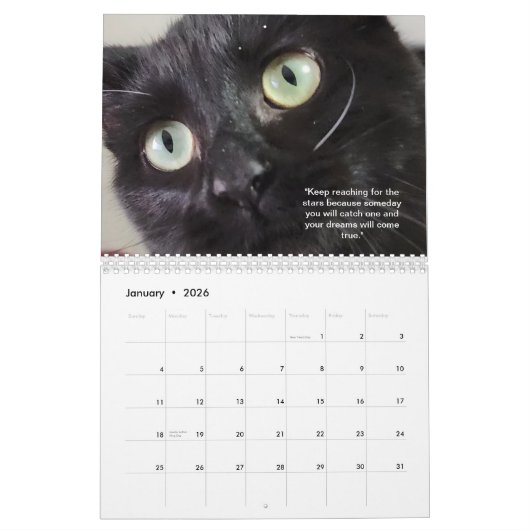 2024 Petals and Feather and Friends Calendar Kalender (Jan 2026)