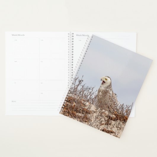 2024 PLANER (Anzeige)