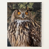 2024 PLANER (Rückseite)