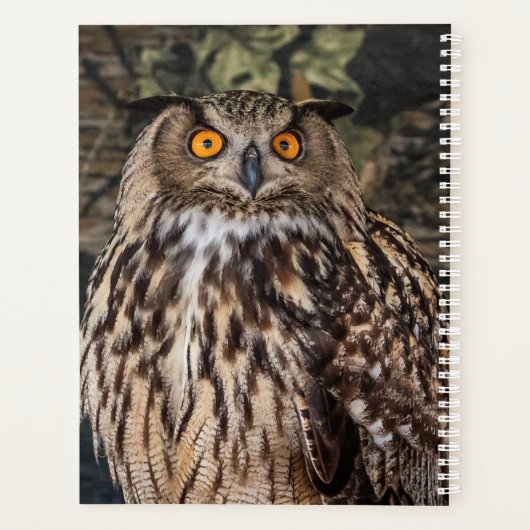 2024 PLANER (Rückseite)