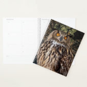 2024 PLANER (Anzeige)