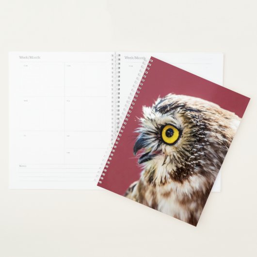 2024 PLANER (Anzeige)