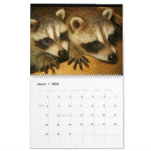2024 Raccoons of Wild Blue Yonder Kalender (Mär 2026)