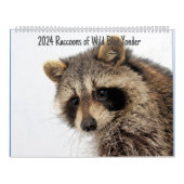 2024 Raccoons of Wild Blue Yonder Kalender (Titelbild)
