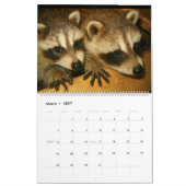 2024 Raccoons of Wild Blue Yonder Kalender (Mär 2027)