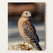 2024 Roter Schulterknecht Planer (Rückseite)