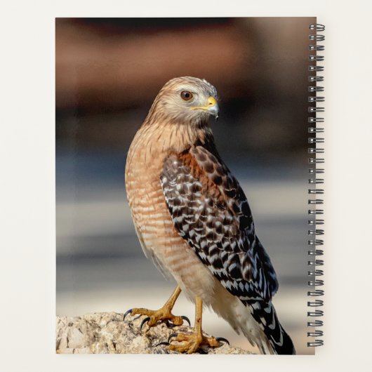 2024 Roter Schulterknecht Planer (Rückseite)