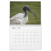 2024 SA Wildlife wall Kalender (Feb 2027)