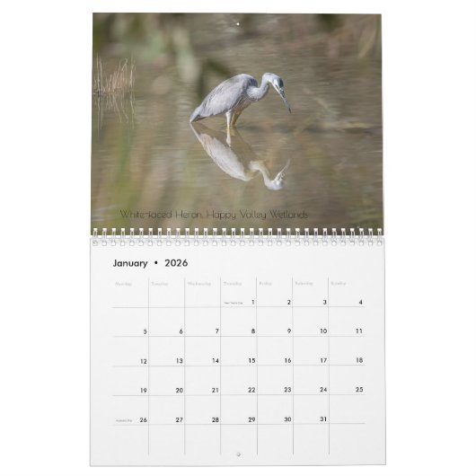 2024 SA Wildlife wall Kalender (Jan 2026)