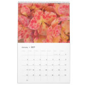 2024 schöne Natur Kalender (Jan 2027)