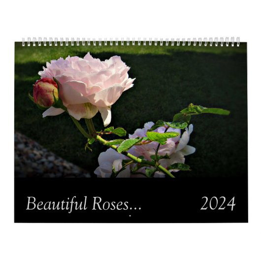 2024 Schöne Rose2 Zwei Seiten großer Wandkalender (Titelbild)
