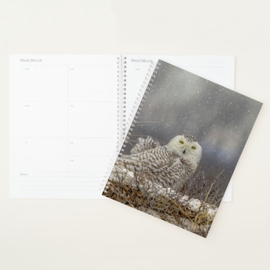 2024 Snowy Owl Planer (Anzeige)