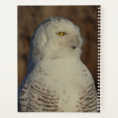 2024 Snowy Owl Planer (Rückseite)