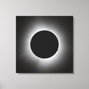2024 Solar Eclipse - Corona Leinwanddruck