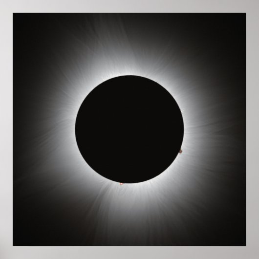 2024 Solar Eclipse - Corona Poster (Vorne)