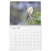 2024 Songbirds Calendar Kalender (Jan 2027)