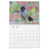 2024 Songbirds Calendar Kalender (Mär 2026)