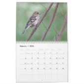 2024 Songbirds Calendar Kalender (Feb 2026)