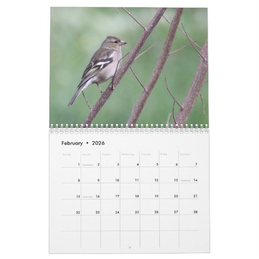 2024 Songbirds Calendar Kalender (Feb 2026)
