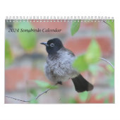 2024 Songbirds Calendar Kalender (Titelbild)