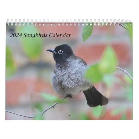 2024 Songbirds Calendar Kalender (Titelbild)