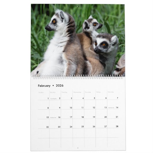 2024 Sweet Ring-Taille Kalender (Feb 2026)