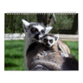 2024 Sweet Ring-Taille Kalender (Titelbild)