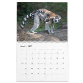 2024 Sweet Ring-Taille Kalender (Mär 2027)