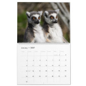 2024 Sweet Ring-Taille Kalender (Jan 2027)