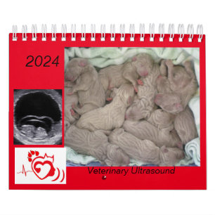 2024 Veterinary Ultrasound Imaging Calendar Kalender