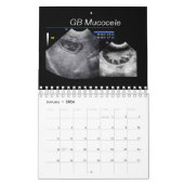 2024 Veterinary Ultrasound Imaging Calendar Kalender (Jan 2026)
