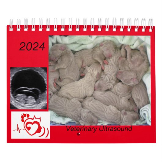 2024 Veterinary Ultrasound Imaging Calendar Kalender (Titelbild)