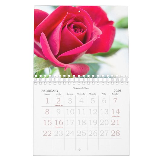 2024 Wall Calendar Blume in Makrofotografie Kalender (Feb 2026)