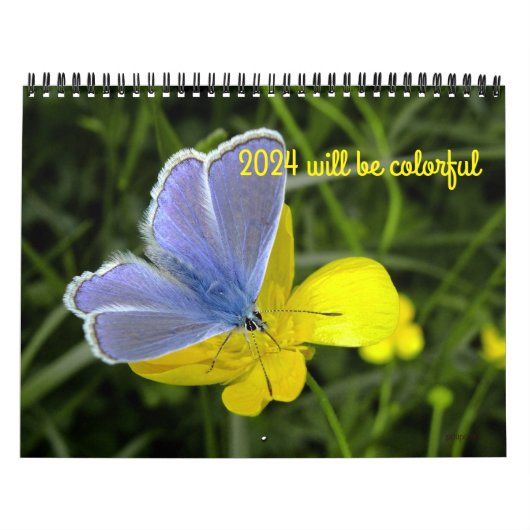 2024 wird ein farbenfroher Kalender sein (Titelbild)