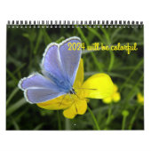2024 wird ein farbenfroher Kalender sein (Titelbild)