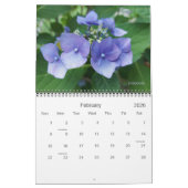 2024 wird ein farbenfroher Kalender sein (Feb 2026)