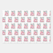 2024 wird eine große Schwester - Dinosaurier Geschenkpapier Set (Vorderseite)