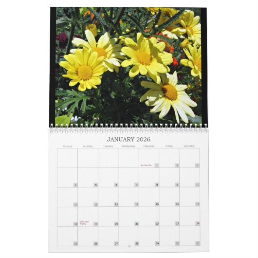 2024 Wunderbare Visionen... Mittelwandkalender Kalender (Jan 2026)