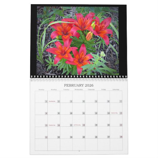 2024 Wunderbare Visionen... Mittelwandkalender Kalender (Feb 2026)