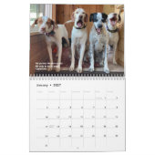 2024 Zeiger & Bilder Kalender PRO 25 Jahre (Jan 2027)