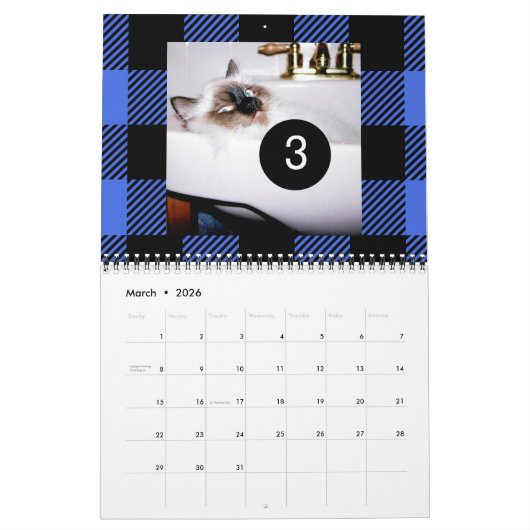 2025 12 Ihres eigenen Fotos Kalender Buffalo Karo (Mär 2026)