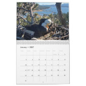 2025-2026 Kalender der Bärenadler (Jan 2027)