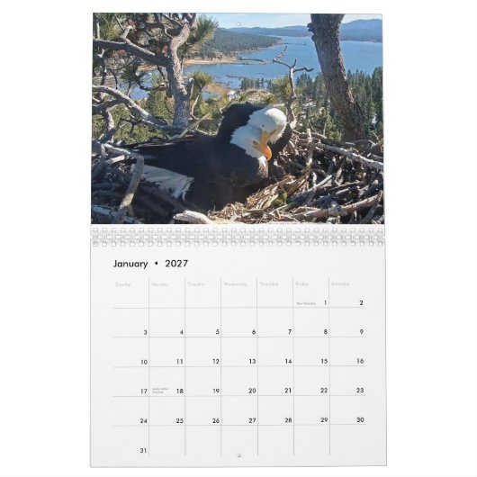 2025-2026 Kalender der Bärenadler (Jan 2027)