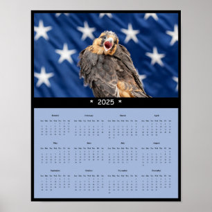 2025 Adiplomado Falcon Calendar Poster
